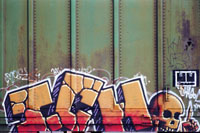 'Cogito Ergo Sum' Boxcar Graffiti