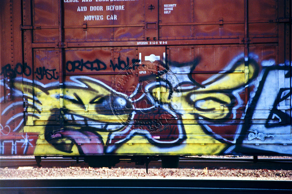 Orkid Wolf Boxcar Graffiti Picture