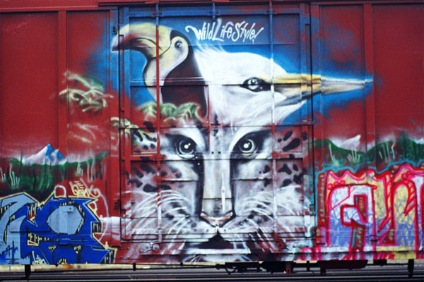 'Wild Life Style' Boxcar Graffiti Photo