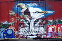 'Wild Life Style' Boxcar Graffiti